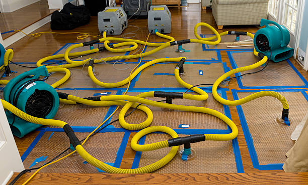 Professional Water Extraction technician working in Garner, IA